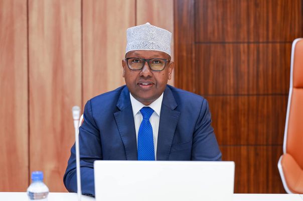 Somali-BAE Anlaşmaları Rafa Kalktı: Egemenlik Hakları İhlal Edildi