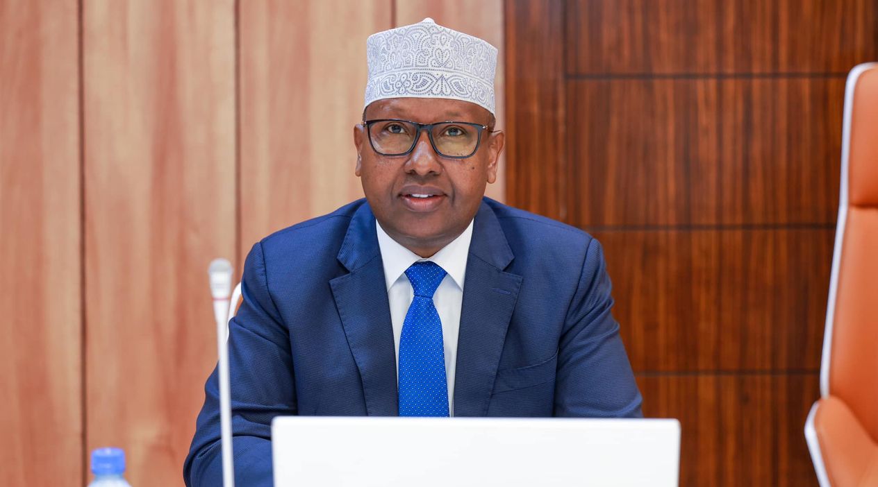 Somali-BAE Anlaşmaları Rafa Kalktı: Egemenlik Hakları İhlal Edildi