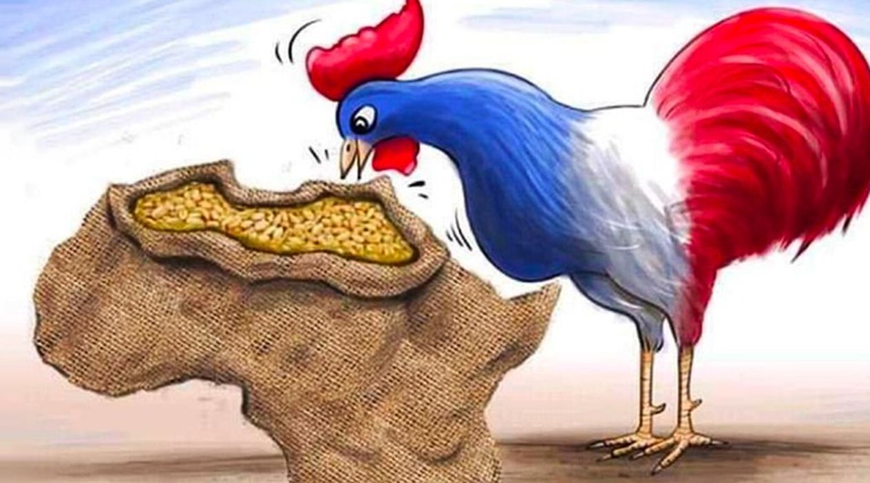 Afrika’daki Sömürü Düzeni Çöken Fransa Yeni Arayışa Çıktı