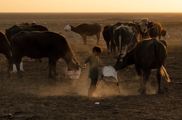 Irak'ın Suyu İnsanları Zehirliyor: 89 Yıldır Görülmedi
