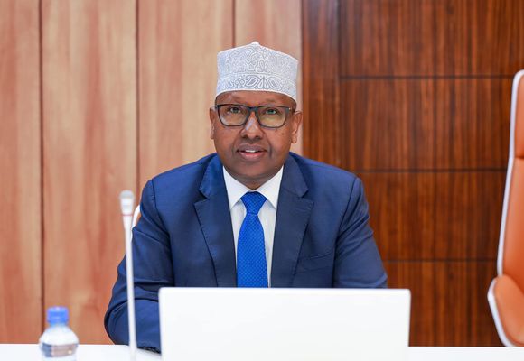 Somali-BAE Anlaşmaları Rafa Kalktı: Egemenlik Hakları İhlal Edildi